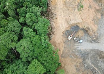 BM’den uyarı: Covid-19 benzeri bir salgına neden olabilecek yaklaşık 1 milyon virüs bulundu