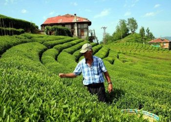 Çiftçinin borcu 72 kat arttı
