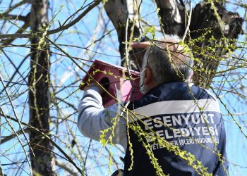 Esenyurt Belediyesi’nden kanatlı dostlara rengarenk yuvalar
