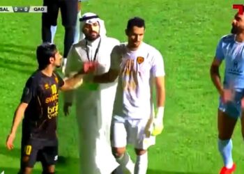 Kulüp başkanı sahaya indi, penaltıyı iptal ettirdi!