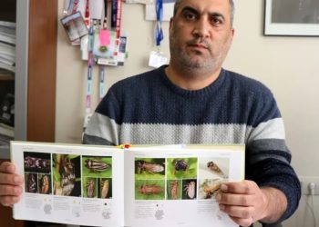 Dünyada sadece Çin’de görülen böcek Elazığ’da tespit edildi