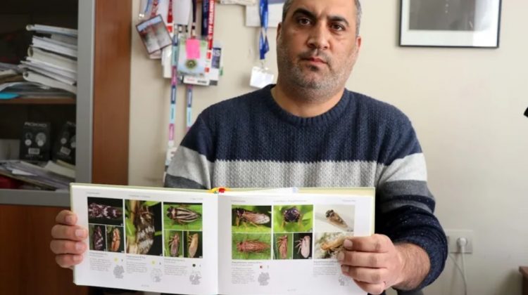 Dünyada sadece Çin’de görülen böcek Elazığ’da tespit edildi