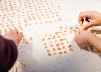 Covid-19 önlemi: Kayseri’ye mantı yasağı