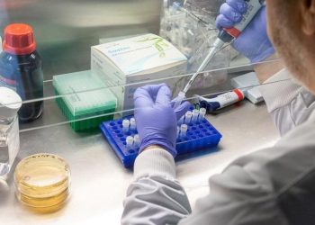 Oxford Üniversitesi’nden korkutan corona araştırması