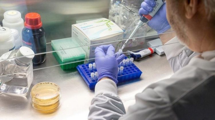 Oxford Üniversitesi’nden korkutan corona araştırması