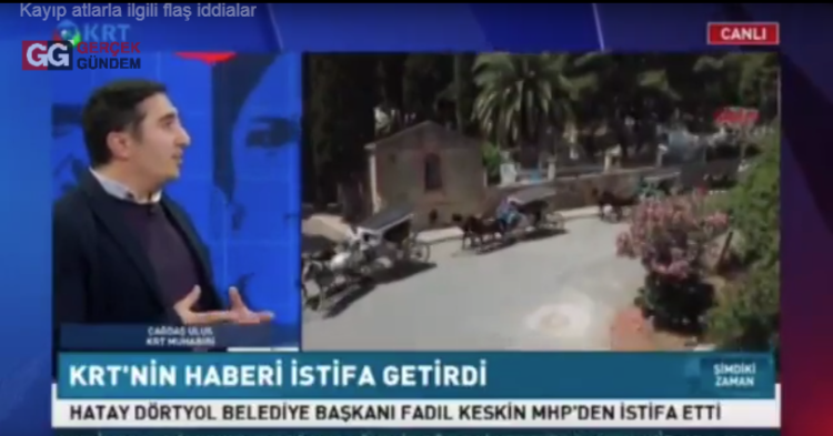 Dere kenarında kesik at başları bulundu: Kayıp 50 atla ilgili dikkat çeken iddialar