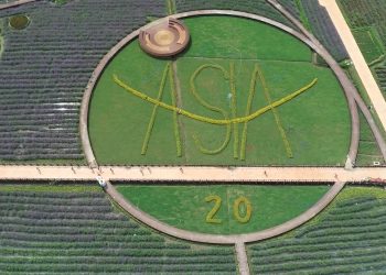 ‘Asya’nın Davosu’ Bo’ao Forumu 20’nci yılında