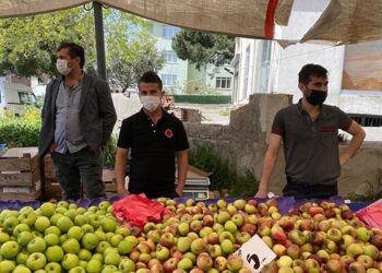 Böyle giderse pandemi de bitmez yoksulluk da…