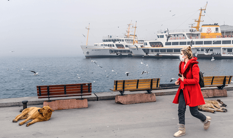 Tam kapanmayla ilgili en çok sorulan sorular