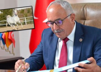 MHP’den istifası açıklanan başkan: Atlardan sucuk yapıldığı iddiası asılsızdır