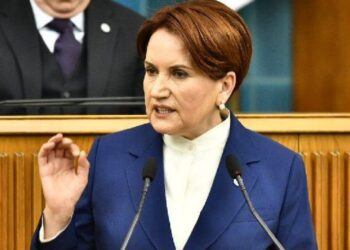 Akşener’den Erdoğan’a ”Minnoş” benzetmesi