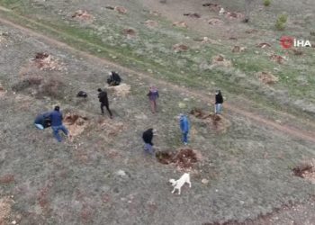 Yüzlerce fidanı toprakla buluşturmak için kilometrelerce yol kat ettiler