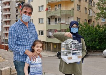 İnsanlık adına bulun bu kuşu. Mardin’de muhabbet kuşunu kaybeden çocuk böyle ilan hazırladı