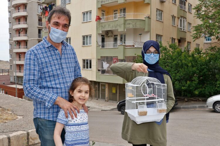 İnsanlık adına bulun bu kuşu. Mardin’de muhabbet kuşunu kaybeden çocuk böyle ilan hazırladı