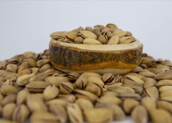 Antep fıstığında hastalık tehdidi