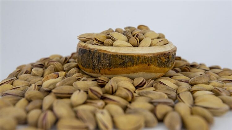 Antep fıstığında hastalık tehdidi