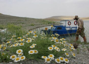 Tuncelili Robinson Ziya dede, adasına kavuştu