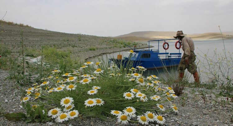 Tuncelili Robinson Ziya dede, adasına kavuştu