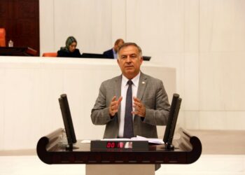 Gökan Zeybek: ”Ruhsar Pekcan’ı ticaret bakanı yapmak, ciğeri kediye teslim etmektir”