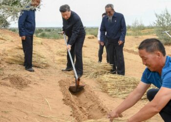Xi Jinping’den 1 Mayıs mesajı