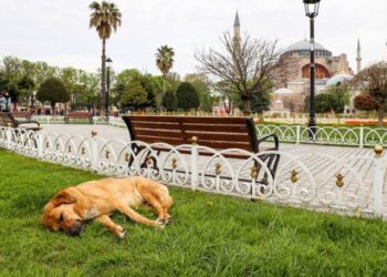 Polis kaynakları açıkladı: 19 Mayıs’ta sokağa çıkma yasağı olacak mı?