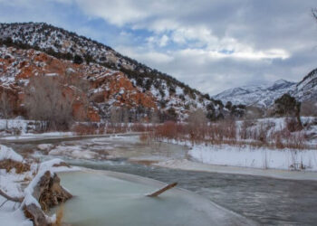 Ormanda kaybolan kadın 6 ay sonra canlı olarak bulundu