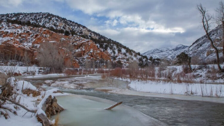 Ormanda kaybolan kadın 6 ay sonra canlı olarak bulundu
