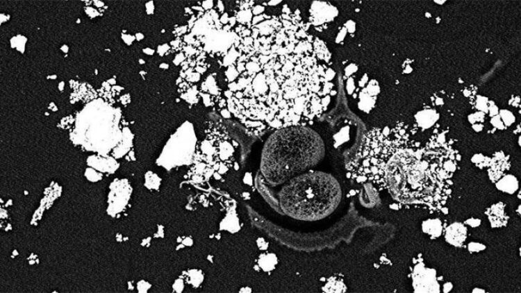 İstanbul’da yaşayanlar dikkat! Araştırmadan ‘akciğer kanseri’ çıktı