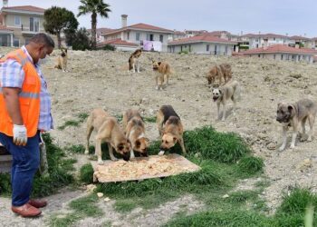 Beylikdüzü Belediyesi bir kez daha örnek oldu