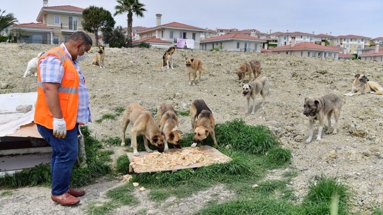 Beylikdüzü Belediyesi bir kez daha örnek oldu
