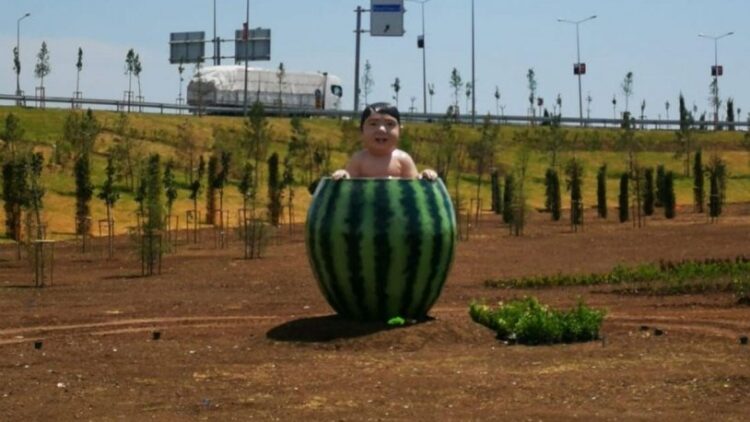 Diyarbakır’da ‘karpuz’ diye dikilen karpuzlu çocuk ve tatlıcı heykelleri kaldırıldı