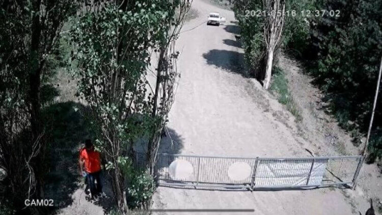 Ankara’da köpeğe tecavüz iddiası: Mansur Yavaş devreye girdi!