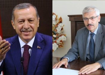 Vali Yardımcısı’nın ‘akademik’ makalesi şoke etti