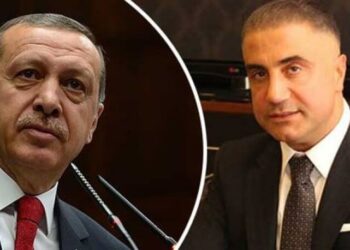 Prof. Dr. Gürses Peker’in iddialarını yorumladı: Eninde sonunda Erdoğan’a ulaşacak