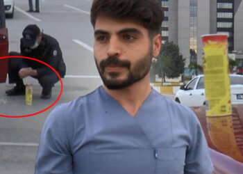 Cips paketinden çıktı, şaşkına döndü!