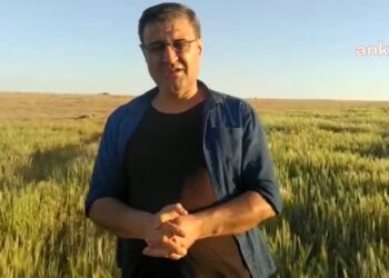 Kuraklık ekinleri vurdu: ”Arpayı kaybetmiş umudumuzu yitirmiş durumdayız”