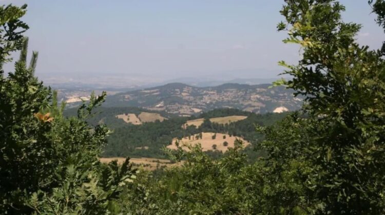 Cengiz Holding’den köylüye tehdit: Arazileri satmazsanız bakanlıktan kamulaştırma isteriz