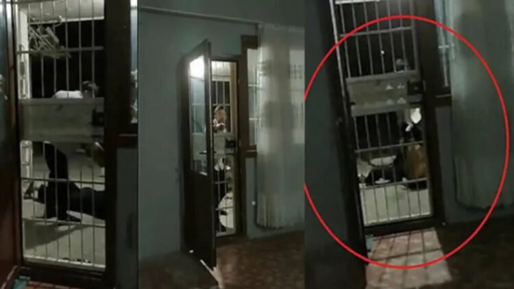 Evli olduğu kadını darp eden erkek, ablasını darp eden eniştesini öldürmüş!