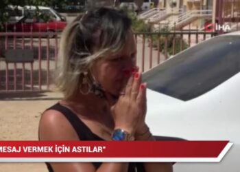 Beslediği kedileri öldürüp pencere korkuluğuna astılar