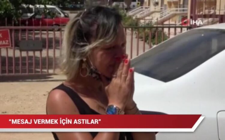 Beslediği kedileri öldürüp pencere korkuluğuna astılar