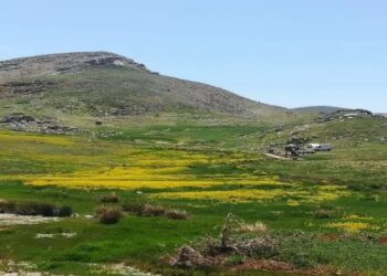 Sarıçiçek Yaylası’nda yapılan sondaja suç duyurusu