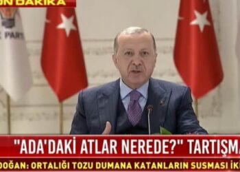 Erdoğan MHP’li başkanın kaybettiği atlardan dolayı İBB’yi suçladı
