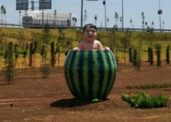 ‘Karpuz’ viral oldu ama: Üç Diyarbakır heykeli daha var!