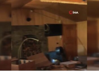Aç kalan ayı evi talan etti, eşyaları sokağa taşıdı