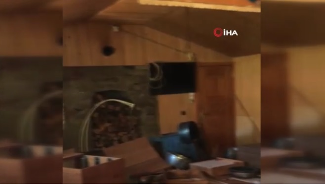 Aç kalan ayı evi talan etti, eşyaları sokağa taşıdı