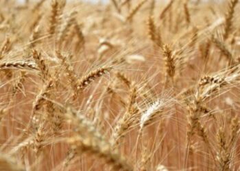 Türkiye’ye yeni kriz geliyor