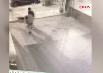 Dehşete düşüren anlar! İki çocuk kediyi bayıltana kadar dövdü