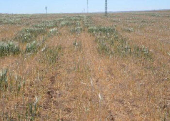 Meteoroloji’den korkutan rapor… Tehdit büyüyor