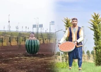 Diyarbakır Mimarlar Odası: Heykeller kaldırılmalı