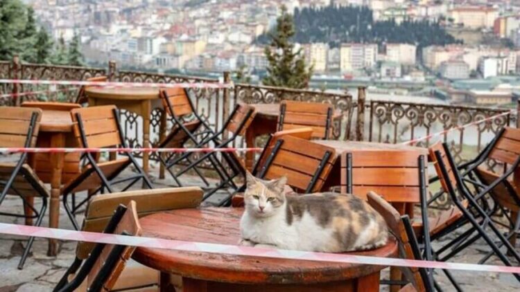 Kademeli normalleşmede hayal kırıklığı